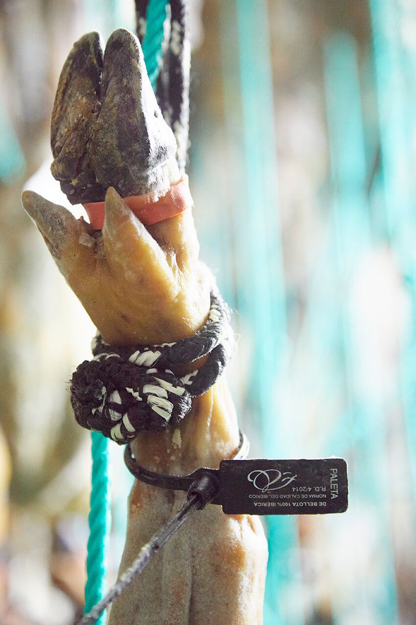 純血統のイベリコ豚はわずか2%だった！プロに聞いた「本場の生ハム」の真実 - 2枚目の画像