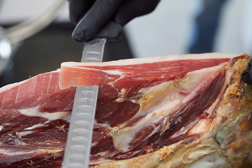 純血統のイベリコ豚はわずか2%だった！プロに聞いた「本場の生ハム」の真実 - 3枚目の画像
