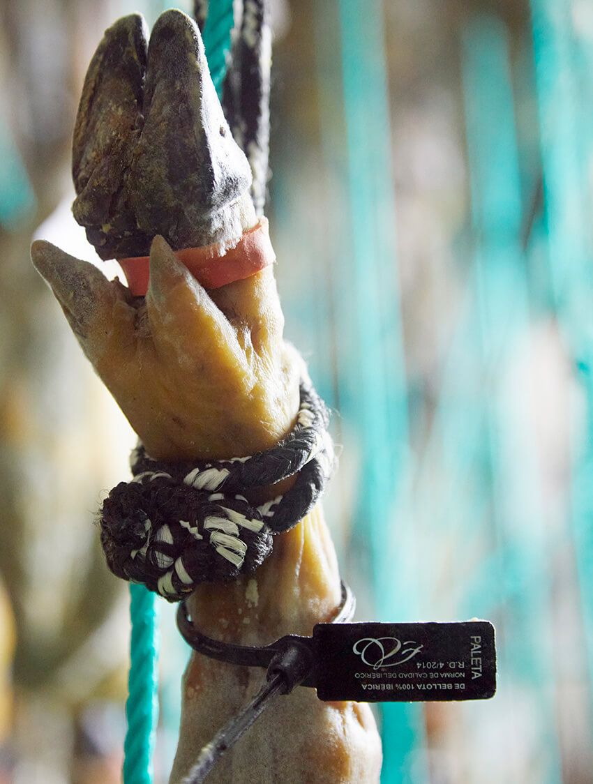 純血統のイベリコ豚はわずか2%だった！プロに聞いた「本場の生ハム」の真実 - 19枚目の画像