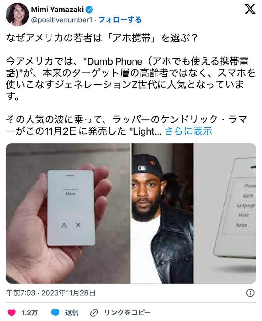 デザインはiPhone、機能はガラケー「アホ携帯」が米Z世代に人気！ 脱スマホ中毒とレトロが魅力 - 3枚目の画像