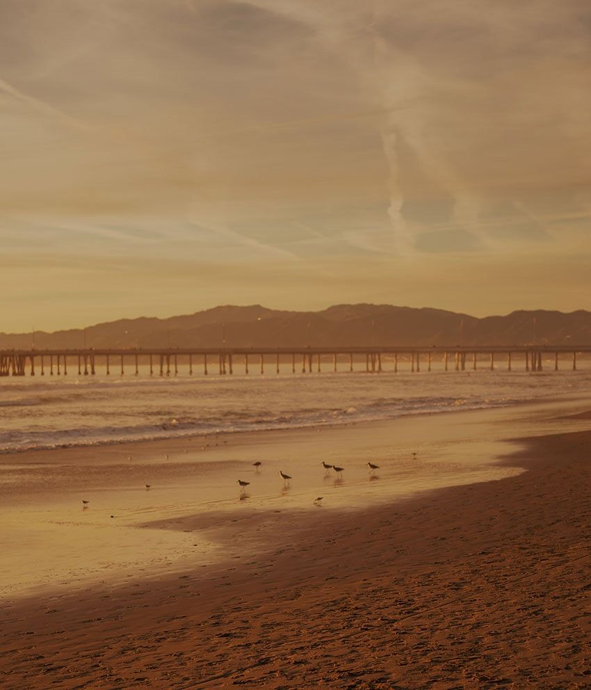 「ウィンダンシー」と「J.プレス オリジナルズ」が初コラボ！アイビースタイルの現代的解釈 - 25枚目の画像