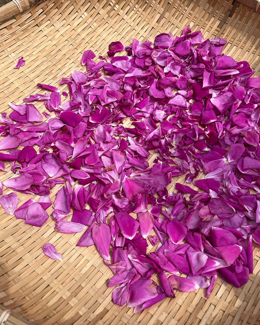 水原希子がエコな新ブランド「kiiks」をスタート。第1弾はユニセックスで使えるマルチバーム - 4枚目の画像