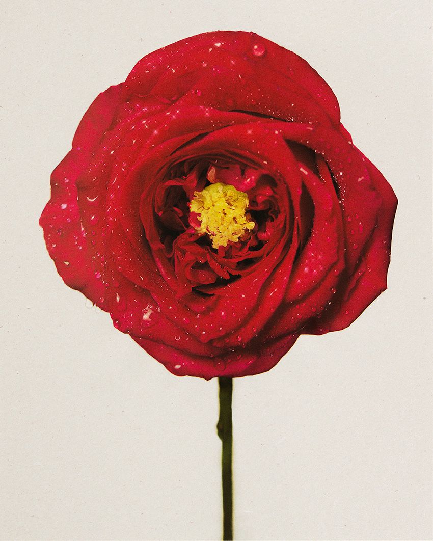 水原希子がエコな新ブランド「kiiks」をスタート。第1弾はユニセックスで使えるマルチバーム - 3枚目の画像