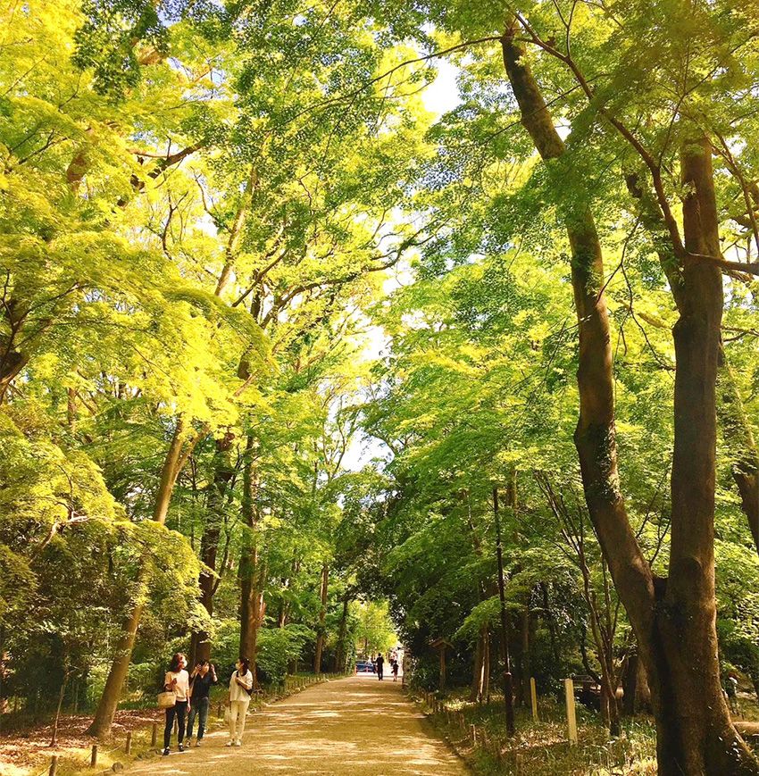 ブルブルアイアイわかさ生活の看板娘は、社員の結婚式二次会で愛を分かち合っていた - 9枚目の画像