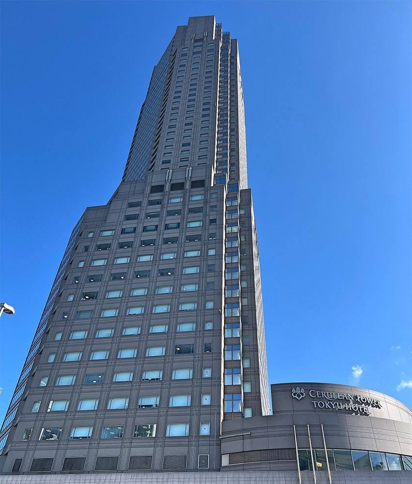 GMOグループの看板娘は、Xフォロワーを20倍にしてディズニーランドで幸せを感じていた - 2枚目の画像