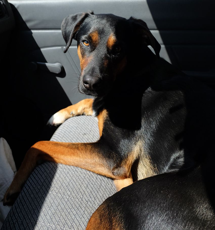 「僕にとってパタゴニアは……」デザイナー本人に聞く、人気デザインに込めた想い - 23枚目の画像