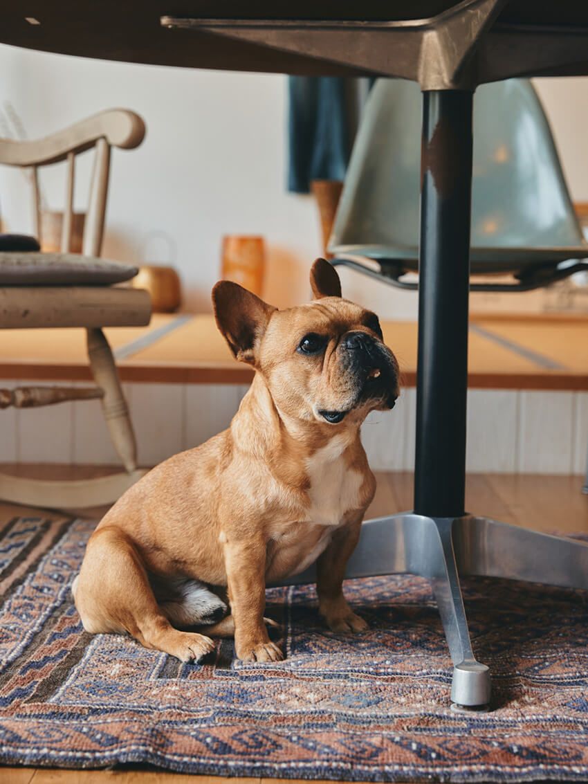 名建築のディテールを自宅に取り入れる。鎌倉エリアで理想を手にした3つのアイデア - 19枚目の画像