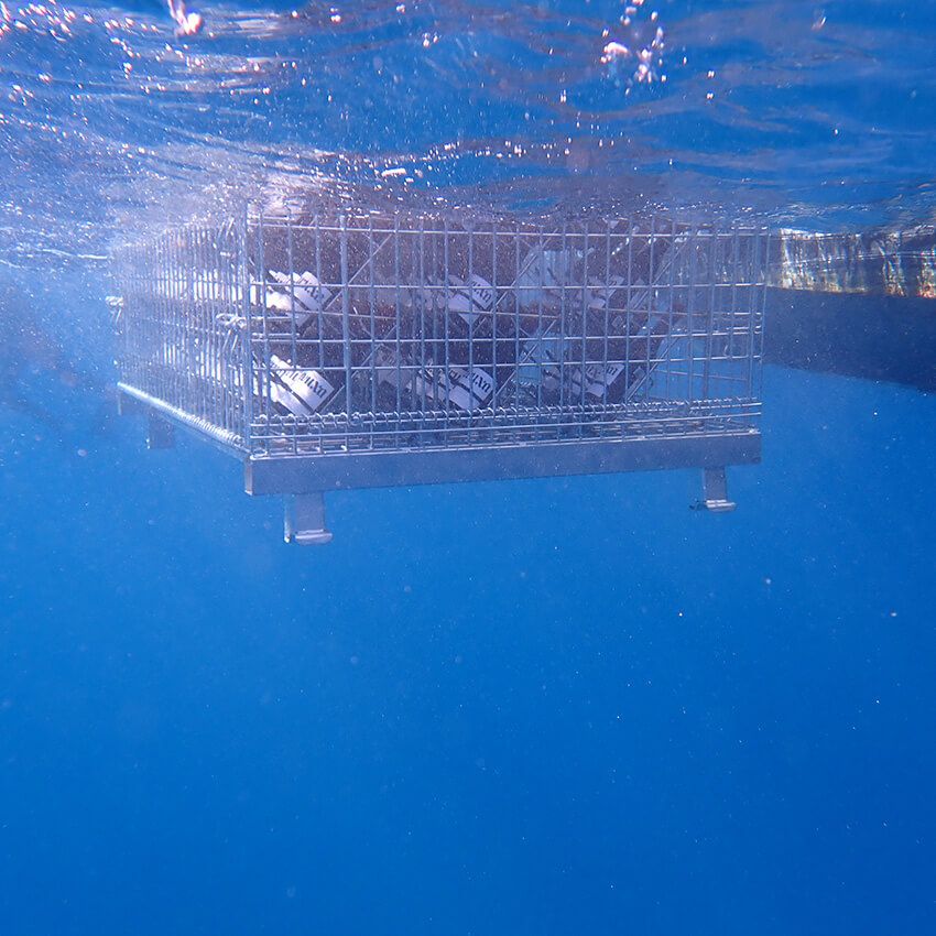 Let's☆飲酒で環境保護！奄美大島の海底熟成ワインセラー「tlass SEA CELLAR」の試み - 3枚目の画像