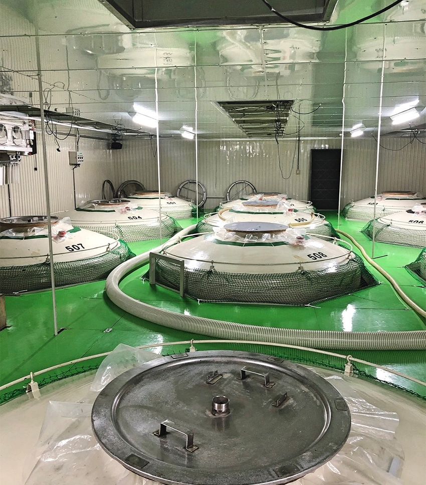 「じっとしているとすぐ寝ちゃう」看板娘が、月120件の契約を決めながら全国の酒蔵を巡っていた - 16枚目の画像