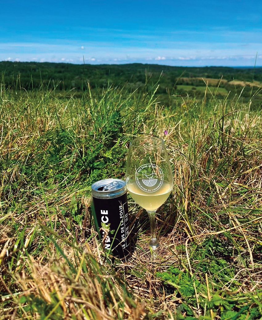 世にも珍しい“缶入りワイン”!? そのワケを聞きにフランスの醸造所を直撃！ - 3枚目の画像