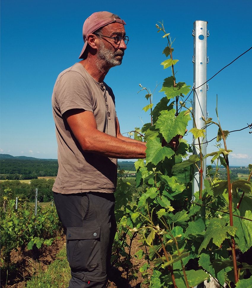 世にも珍しい“缶入りワイン”!? そのワケを聞きにフランスの醸造所を直撃！ - 7枚目の画像