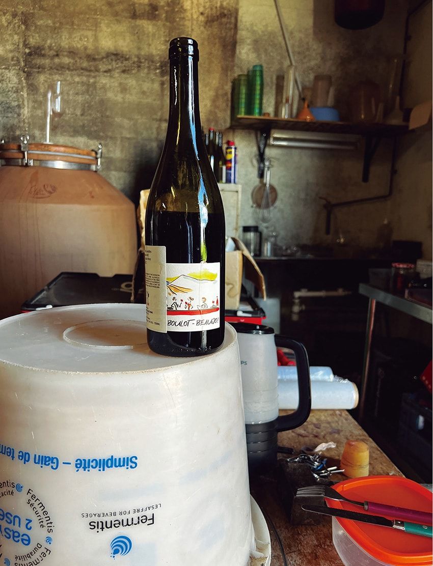 世にも珍しい“缶入りワイン”!? そのワケを聞きにフランスの醸造所を直撃！ - 11枚目の画像