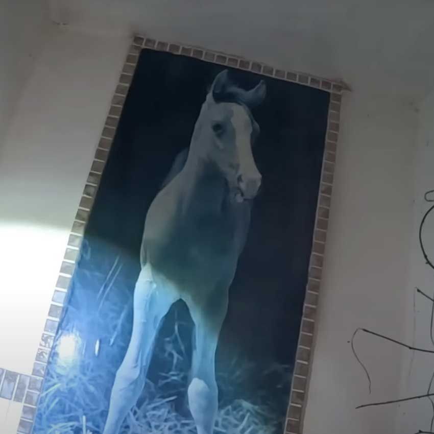 原田龍二が廃墟のラブホで聞いたのは「子供の霊の足音」!? 体にも異変、ディレクターは嘔吐…… - 10枚目の画像