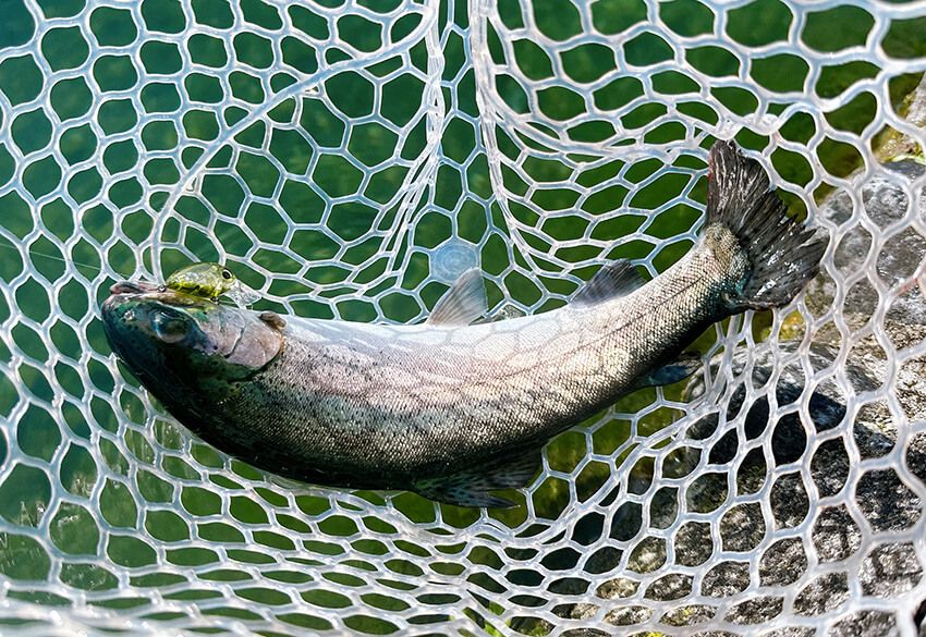 「初めてでも安心♡」釣り歴10年の女子が冬場にハマる、エリアトラウトの楽しみ方とは - 17枚目の画像