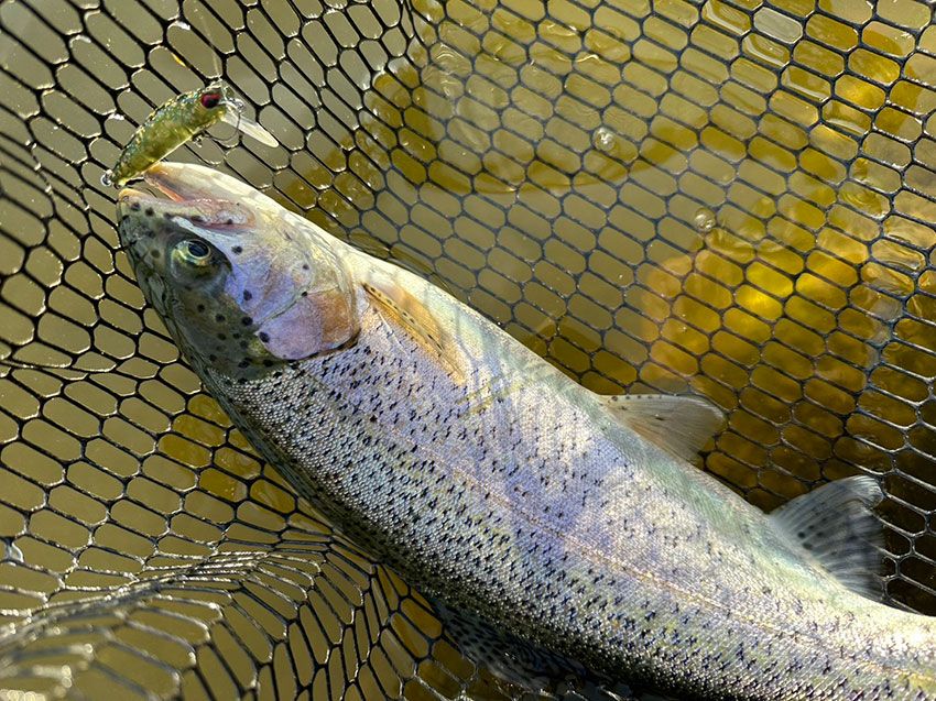 小魚の形を模したルアー。