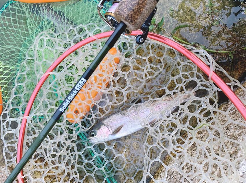 私が使用している竿（ブンブンスティックトラウト）は、2490円とお手頃。