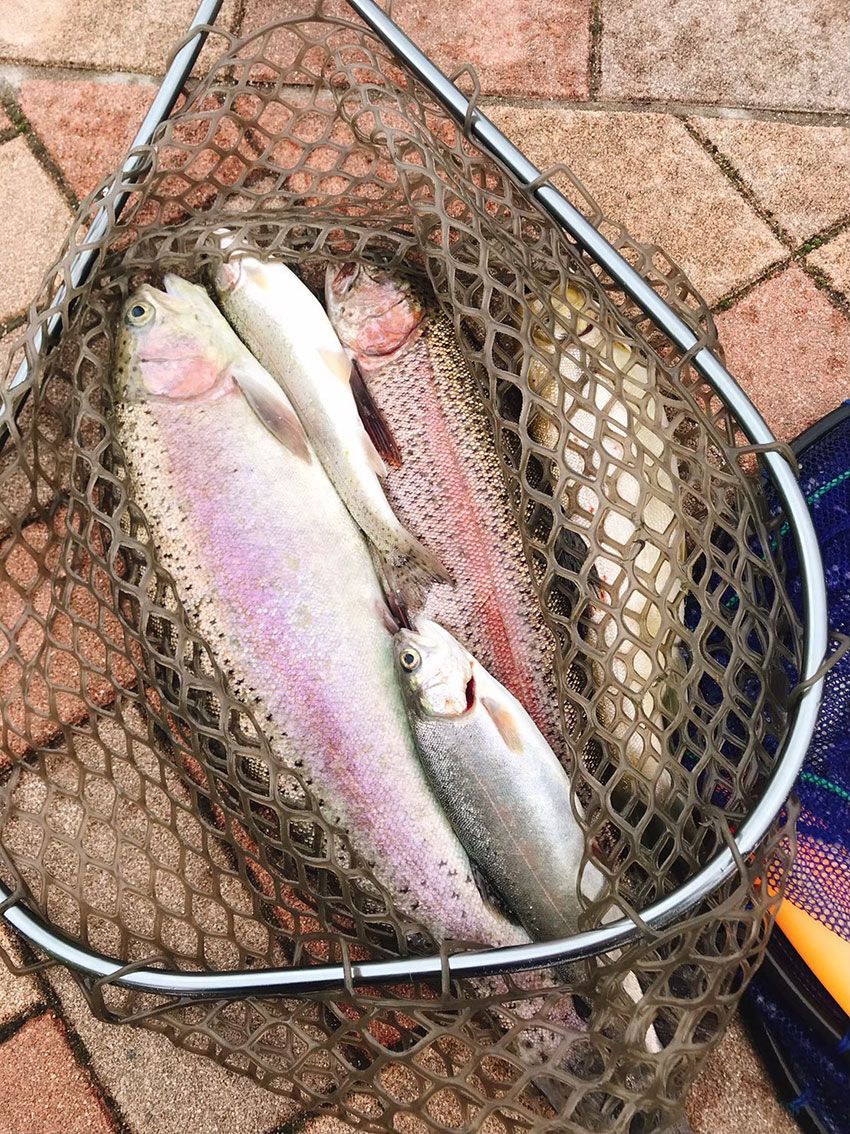 「初めてでも安心♡」釣り歴10年の女子が冬場にハマる、エリアトラウトの楽しみ方とは - 28枚目の画像