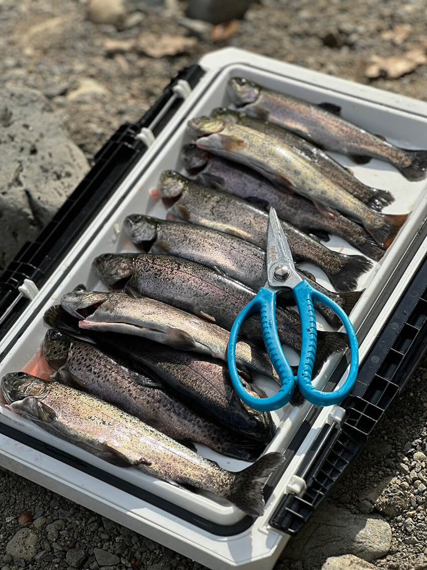 「初めてでも安心♡」釣り歴10年の女子が冬場にハマる、エリアトラウトの楽しみ方とは - 14枚目の画像