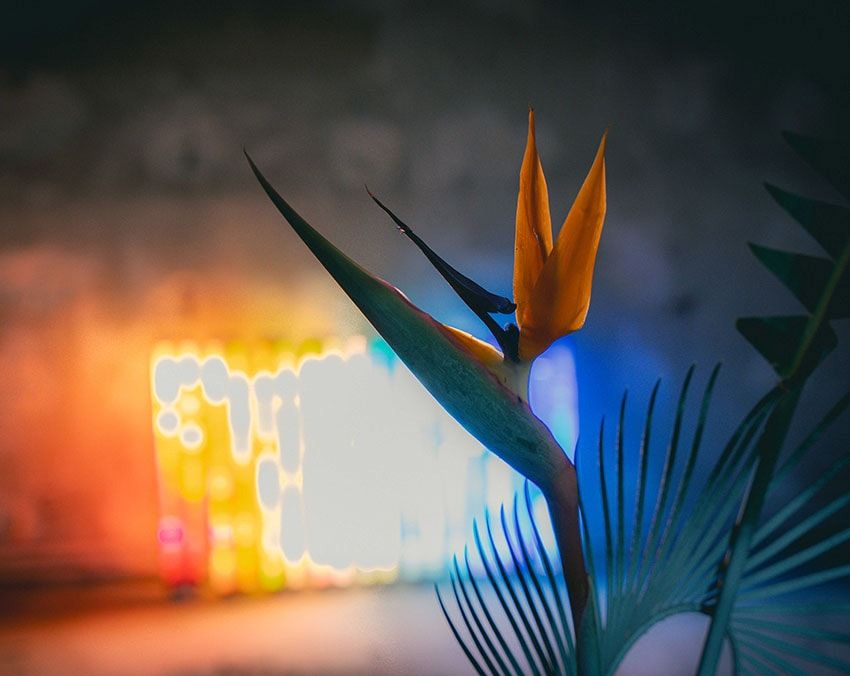 パリを舞台に「タトラス」が2025年の秋冬コレクションを披露！プレゼンの内容を一部レポート - 4枚目の画像