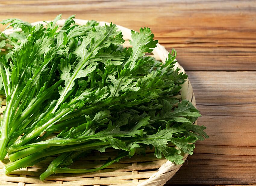 アスリートにも勧める「鍋ダイエット」を徹底調査！ おすすめ食材と注意点をプロが解説 - 1枚目の画像