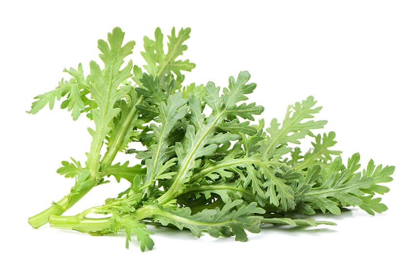 アスリートにも勧める「鍋ダイエット」を徹底調査！ おすすめ食材と注意点をプロが解説 - 5枚目の画像