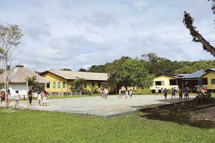 南米ジャングルで育った日本人少年が、社長になって日本で売る「コパイバマリマリ」とは - 9枚目の画像