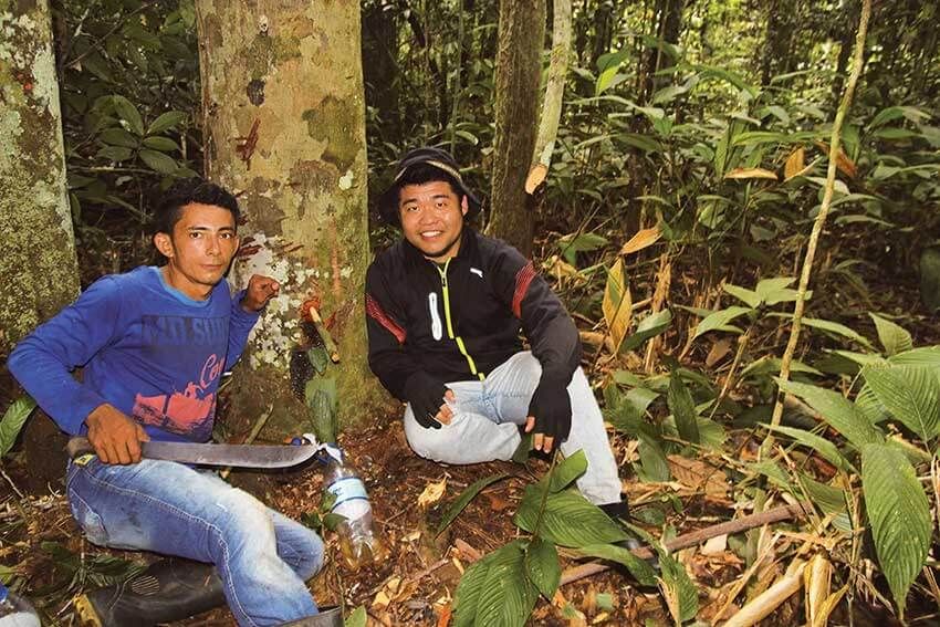 南米ジャングルで育った日本人少年が、社長になって日本で売る「コパイバマリマリ」とは - 7枚目の画像