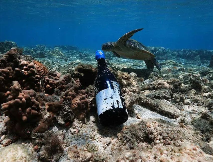 海底熟成ワインにジビエ料理。別荘・ホテルにもなる「UMITO」が取り組むユニークな自然との共生 - 5枚目の画像