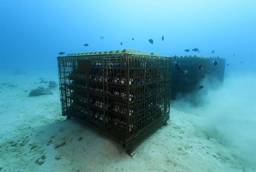 海底熟成ワインにジビエ料理。別荘・ホテルにもなる「UMITO」が取り組むユニークな自然との共生 - 4枚目の画像