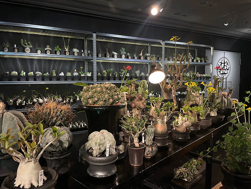 種市 暁のタネさんぽ “ぶらっと、表参道ヒルズ編”。「9ショップ巡って、改めてポテンシャルに驚いた！」 - 18枚目の画像