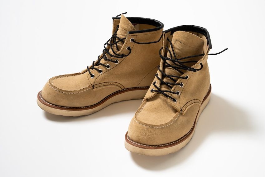 「レッドウィング」のアイリッシュセッター（原 私物）