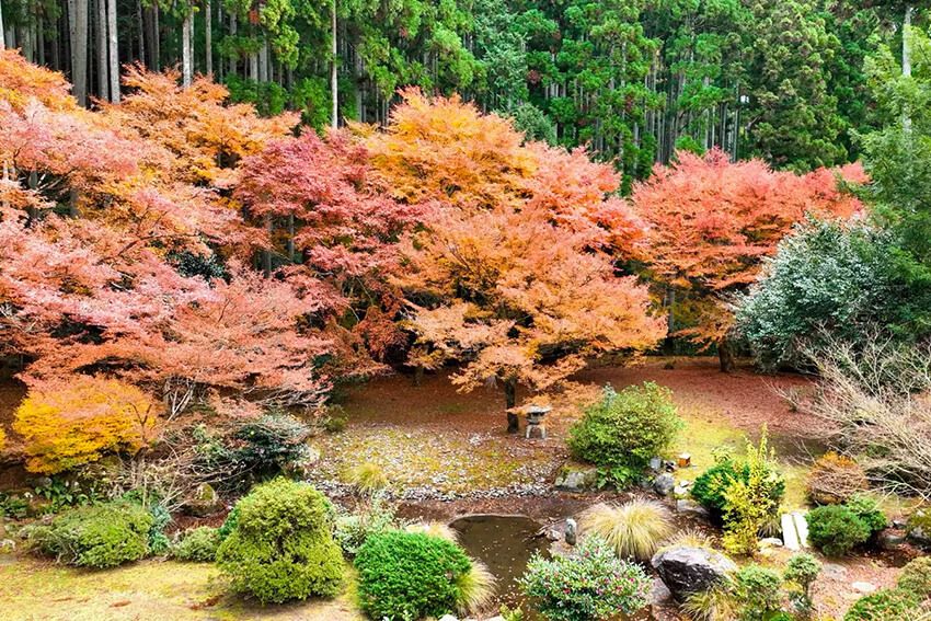 秋には紅葉の美しい日本庭園は、のどかな棚田、里山とボーダーレスにつながる。
