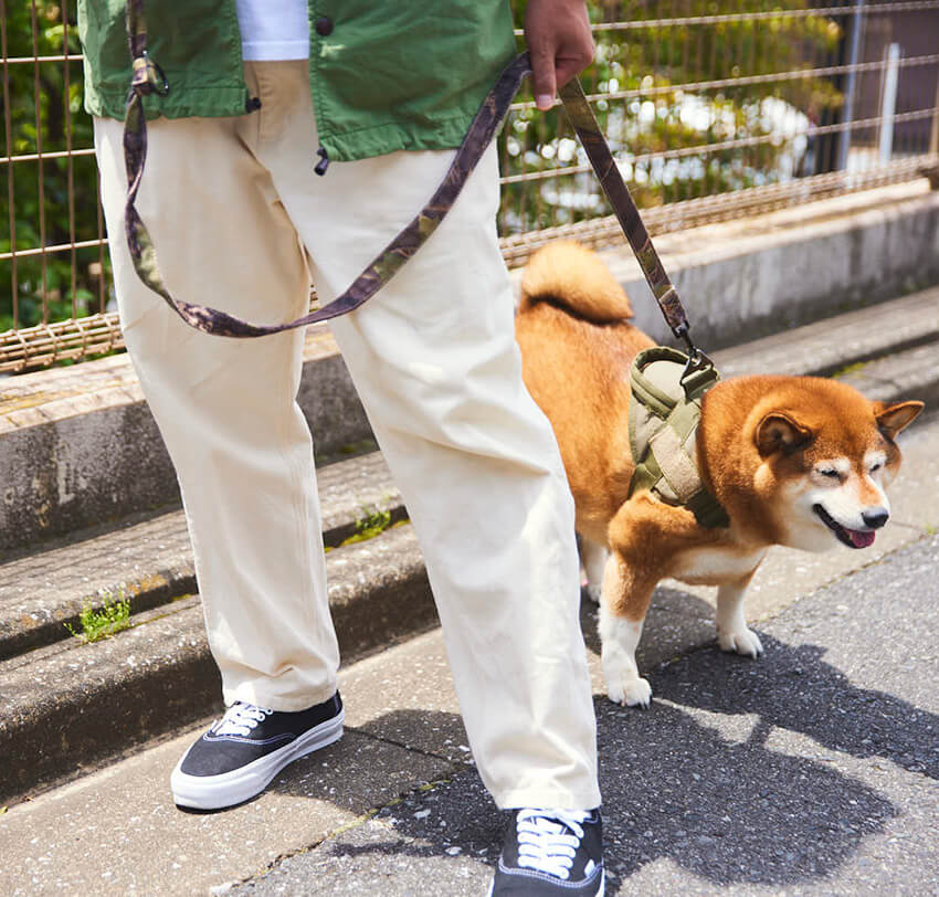 愛犬を散歩中のパンサー・尾形さんに突撃！ オールドステューシーに