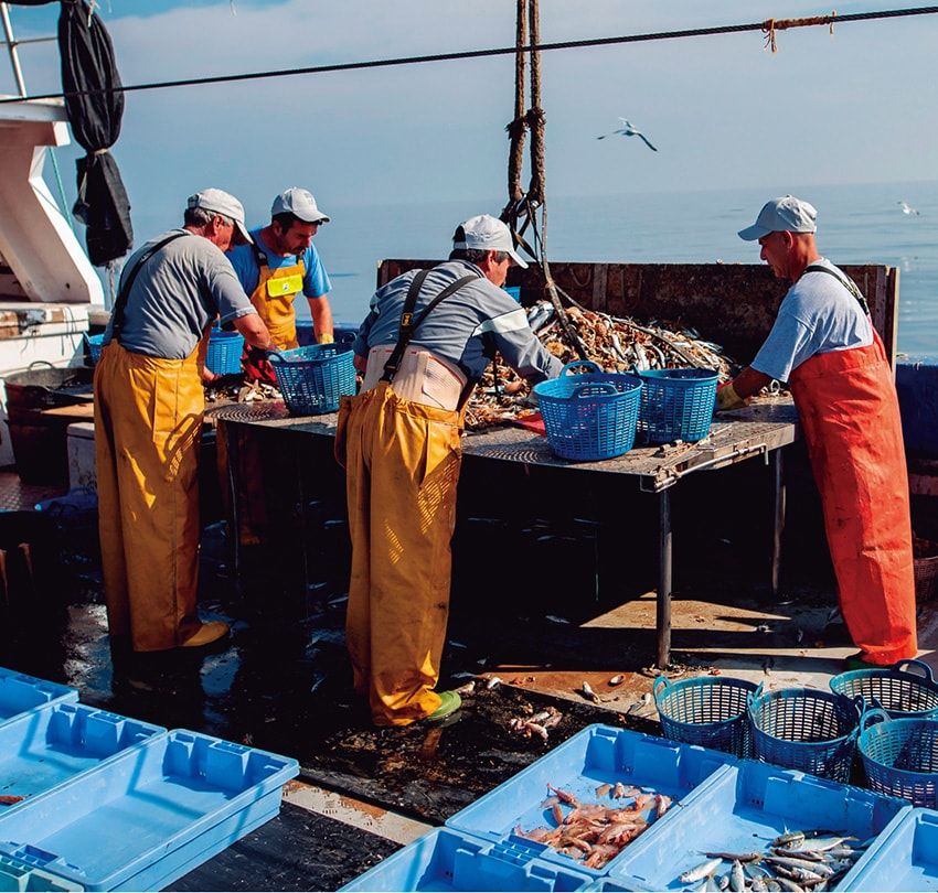 底引き網漁では魚と一緒に海洋ゴミも引き揚げてしまう。本来これらは有料廃棄物となり漁師は負担を強いられるが、エコアルフはボックスを船上に設置して回収している。