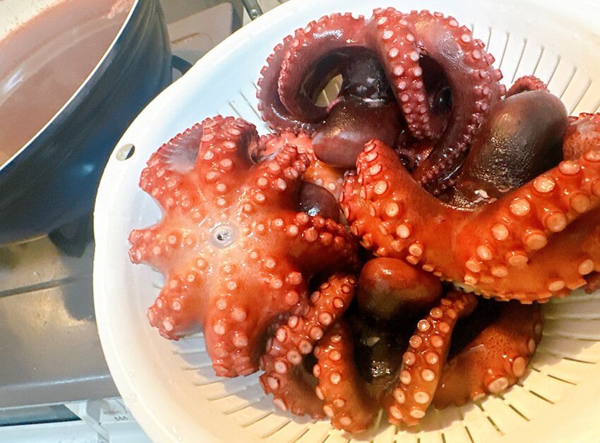 高級食材「明石のタコ」が大漁！アングラー女子・フッチーが語る、この時季限定のタコ釣りの魅力 - 19枚目の画像