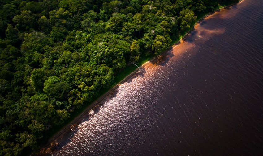  ©FCI - Paulo Velozo