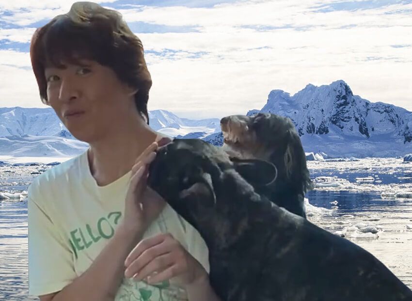 「樺太犬は、寒さに強いワン！」。樺太犬ではありません。友達のワンちゃん協力ありがとう。