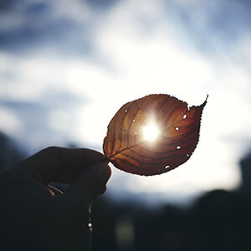 エンドレスな環境の変化。ゴールドウインが柏倉陽介と見つめる現状と希望 - 1枚目の画像