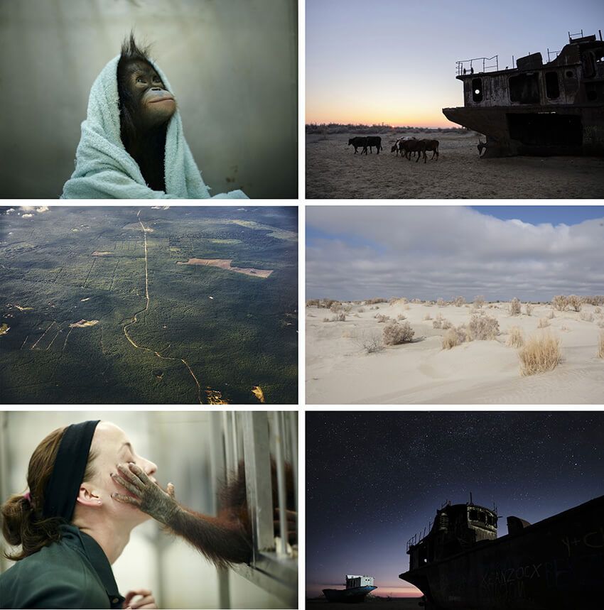 左(上、中、下)撮影地:ボルネオ   年、右(上、中、下)撮影地:アラル海   年