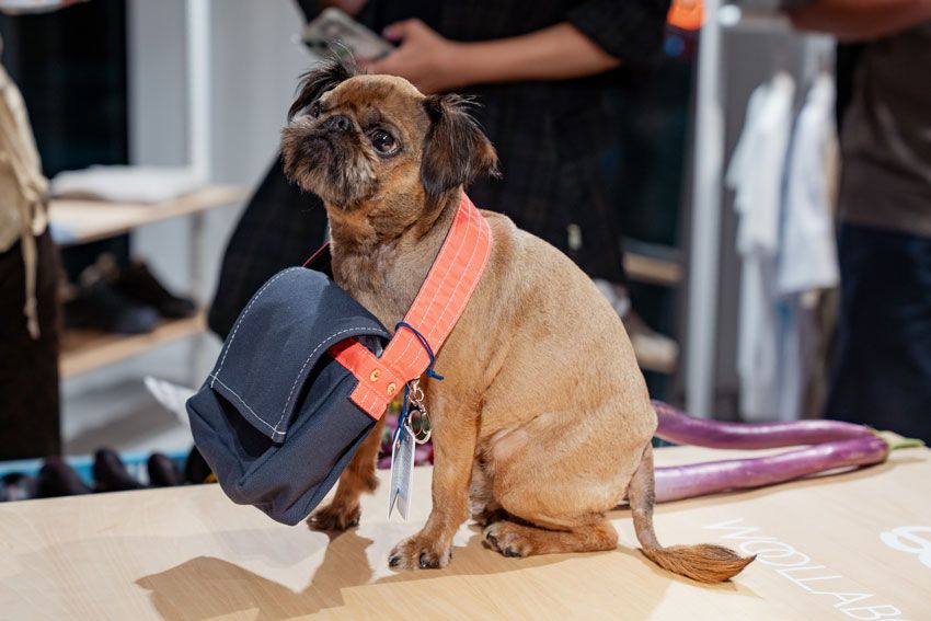 バッグ＝アンライクリー