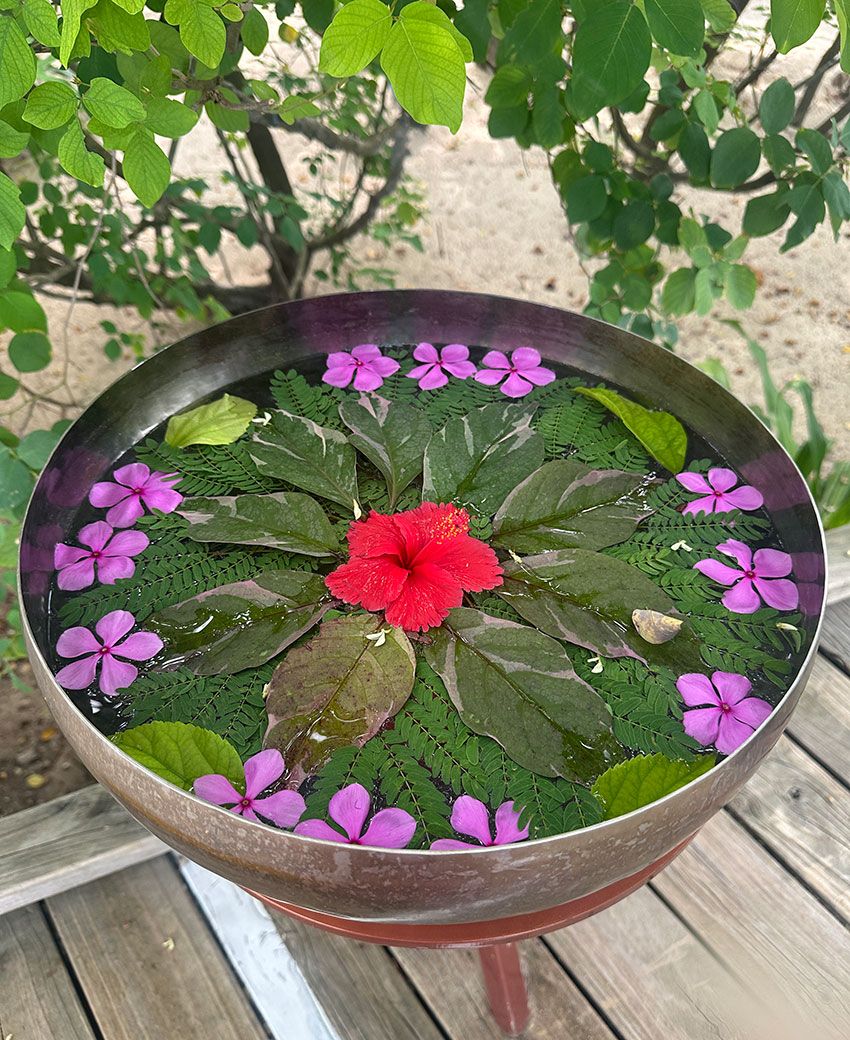 シャンパン飲み放題、マリンスポーツも“全部込み”。モルディブ「オーゼン・コレクション」で味わう楽園の中身 - 14枚目の画像