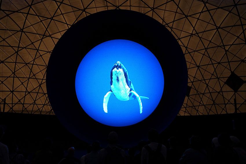 来週は大阪・関西万博に集合！Forbes JAPAN×OCEANSで考える海の未来「THE BLUEKEEPERS AWARD 2025」 - 10枚目の画像