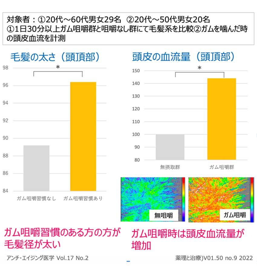 ガムの咀嚼が“薄毛予防”の救世主に!? ロッテ研究部員にその真相を探ってみた！ - 2枚目の画像