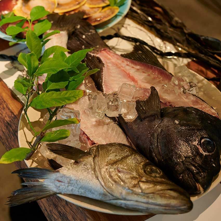 25年後には魚の数がゼロになる!? 若手漁師たちが訴える「いま日本の海で起きていること」 - 6枚目の画像