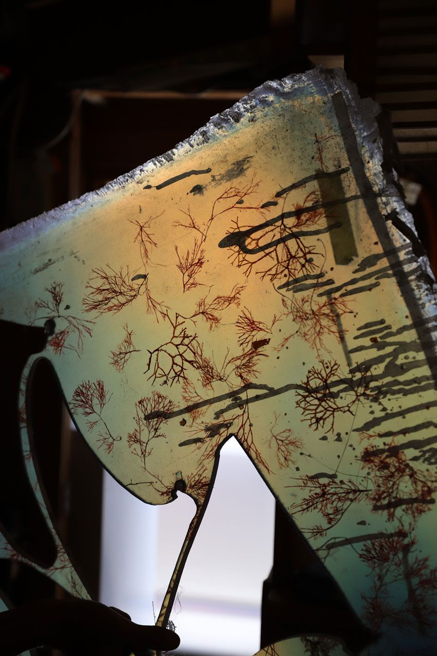 「海とともに生きる」ノアが仕掛ける“サステナブルなポップアップ”。日本上陸時の限定Tの復刻も！ - 8枚目の画像