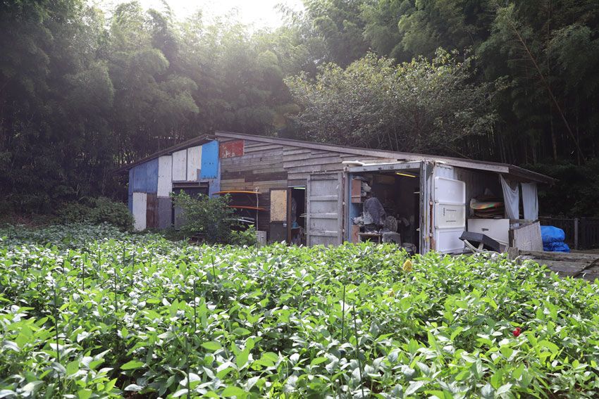 「海とともに生きる」ノアが仕掛ける“サステナブルなポップアップ”。日本上陸時の限定Tの復刻も！ - 3枚目の画像