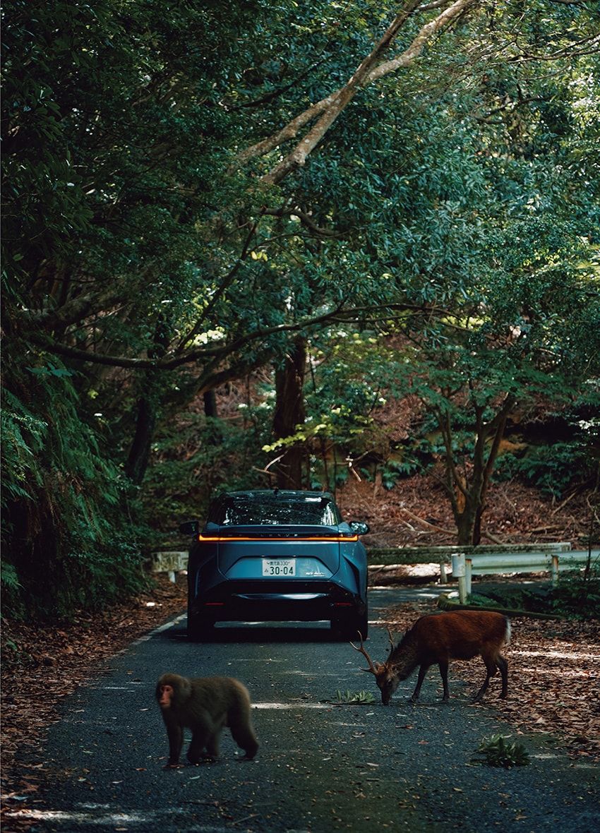 レクサスで巡る屋久島の旅。「タッチ・ジャパン・ジャーニー」で日本の魅力に触れる贅沢な冒険譚 - 13枚目の画像