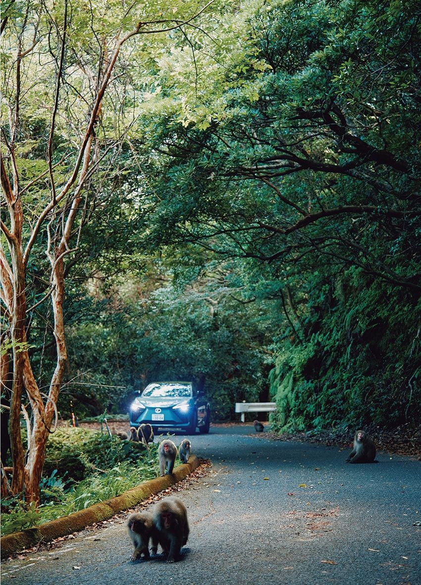 レクサスで巡る屋久島の旅。「タッチ・ジャパン・ジャーニー」で日本の魅力に触れる贅沢な冒険譚 - 17枚目の画像