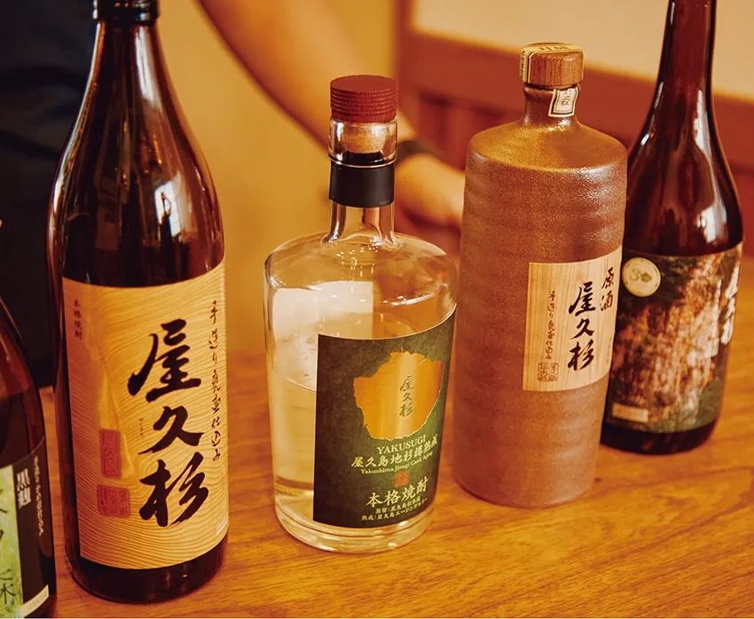 レクサスで贅沢に巡る、屋久島の旅。「もののけ姫」のモデルとなった“白谷雲水峡“で癒される - 2枚目の画像