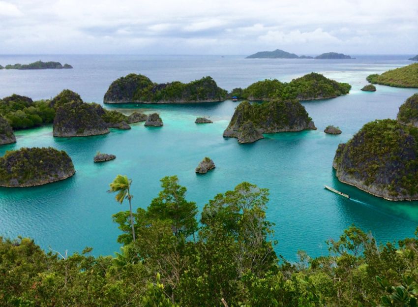 インドネシア東部の「ラジャ・アンパット」